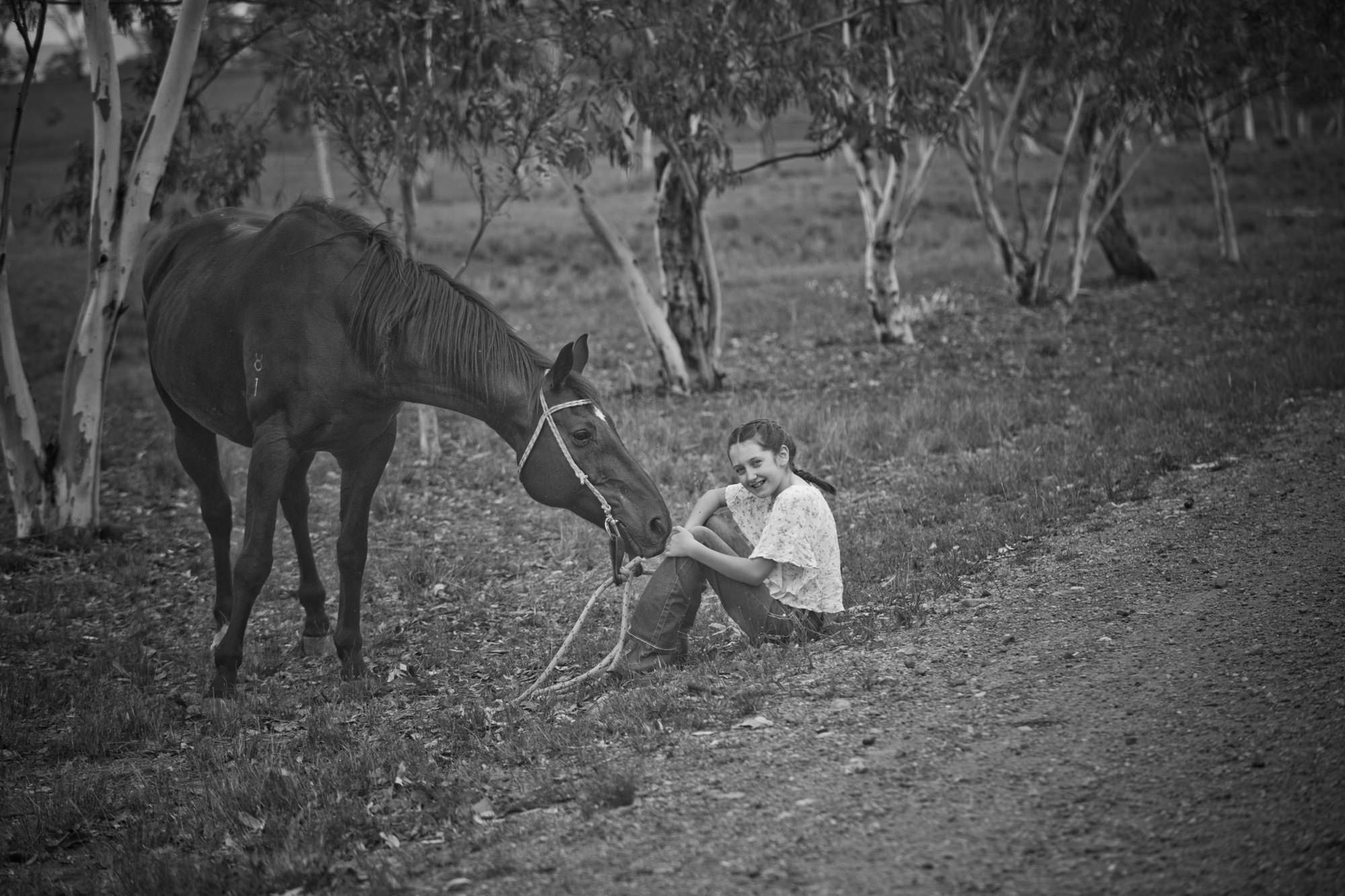black and white horse family portait