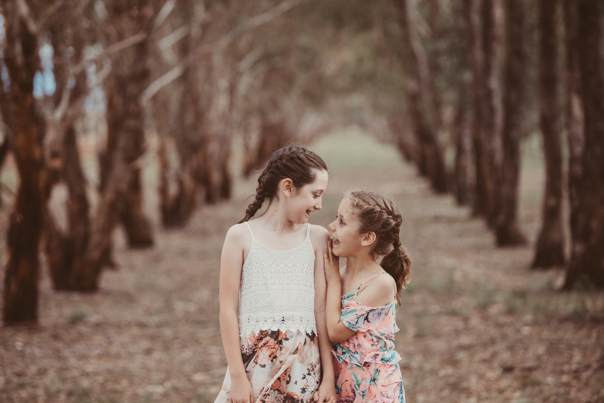 portrait photographer new england northwest